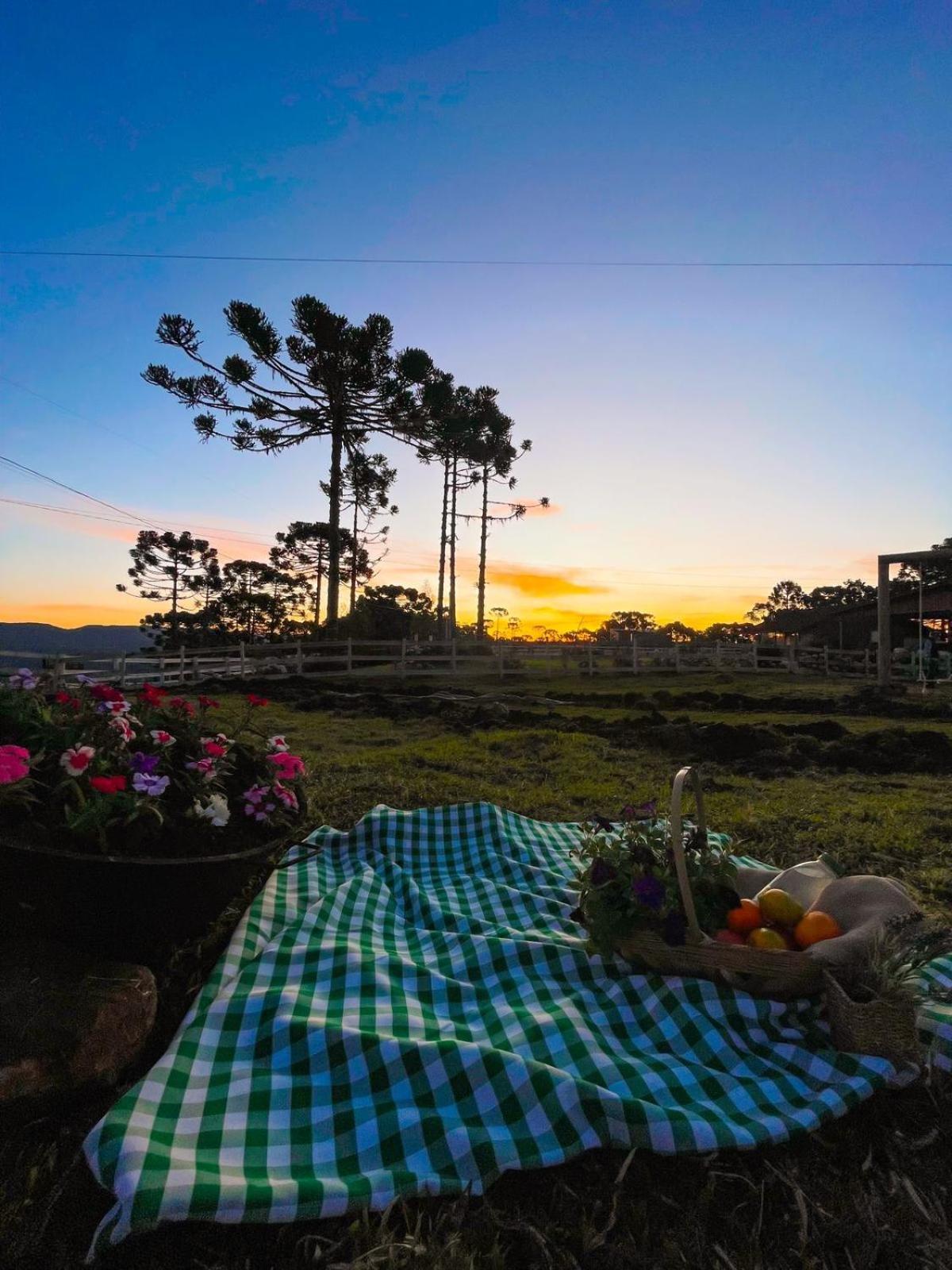 Platto Da Neve:Jacuzzi E Lareira Em Urubici Rg2775 Exterior foto